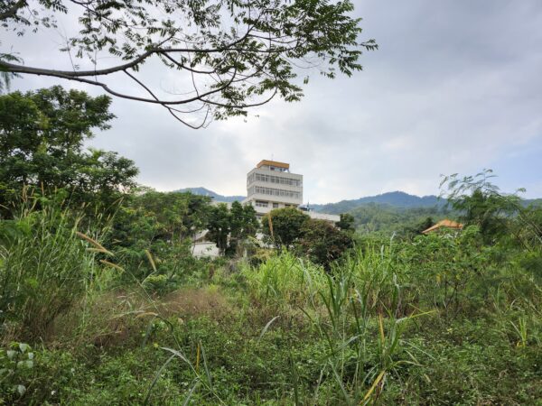 The Dzogchen Buddha Path Asia Teaching and Practice Center Auspicious Opening Retreat in Taiwan